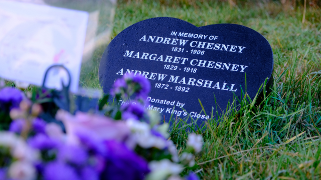 Listing Chesney Grave
