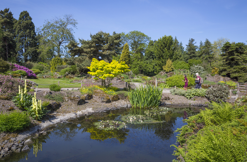 Edinburgh botanic gardens