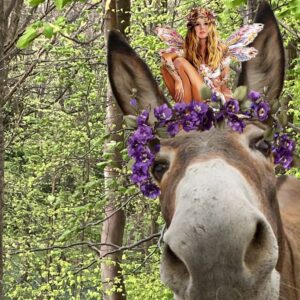 A Midsummer Night Dream Fringe Show Poster for 2025